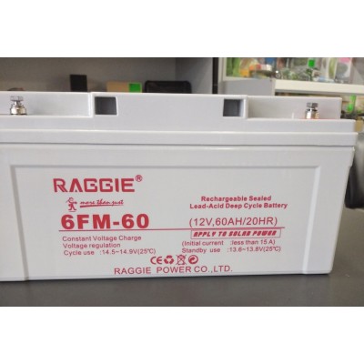 Аккумулятор глубокого разряда AGM Reggie 12V 60Ah/20Hr