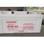 Аккумулятор глубокого разряда AGM Reggie 12V 60Ah/20Hr