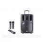 Мощная аккумуляторная акустика Temeisheng TMS SL-16 (USB-BT-2MIC-600W)