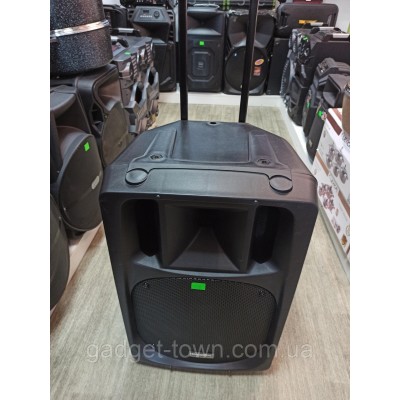 Мощная аккумуляторная акустика Temeisheng TMS SL-16 (USB-BT-2MIC-600W)
