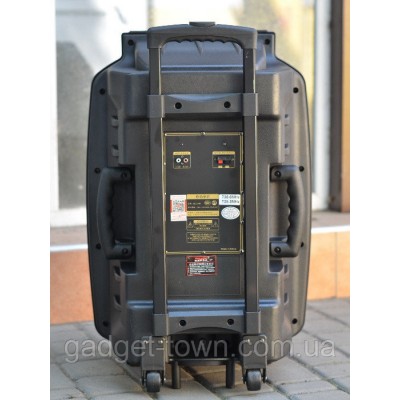 Колонка Temeisheng SL 15-08 с аккумулятором, 15 дюймов, 2 микрофона, MP3, Bluetooth, USB, SD, 150W