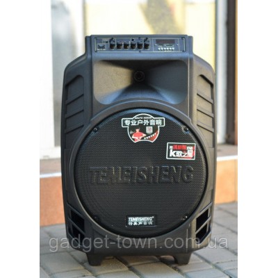 Колонка Temeisheng SL 15-08 с аккумулятором, 15 дюймов, 2 микрофона, MP3, Bluetooth, USB, SD, 150W