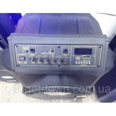 Колонка Temeisheng SL 15-08 с аккумулятором, 15 дюймов, 2 микрофона, MP3, Bluetooth, USB, SD, 150W