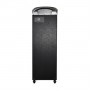 Колонка аккумуляторная Leisound partybox BIG c радиомикрофоном (300W/USB/BT/FM/)
