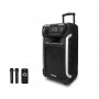 Колонка с аккумулятором профессиональная TMG ORIGINAL ZXX / 15 дюймов"/ 300W/ 2 радиомикрофона