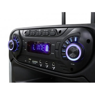 Колонка с аккумулятором профессиональная TMG ORIGINAL ZXX / 15 дюймов"/ 300W/ 2 радиомикрофона