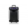 Колонка с аккумулятором профессиональная TMG ORIGINAL ZXX / 15 дюймов"/ 300W/ 2 радиомикрофона