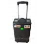 Портативная колонка QX 0862 с радиомикрофоном / 100W (USB/Bluetooth/Пульт))