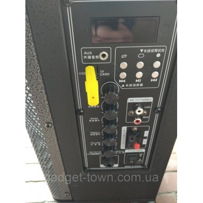 Портативная колонка QX 0862 с радиомикрофоном / 100W (USB/Bluetooth/Пульт))