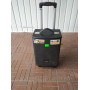 Портативная колонка QX 0862 с радиомикрофоном / 100W (USB/Bluetooth/Пульт))