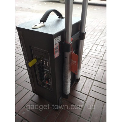 Портативная колонка QX 0862 с радиомикрофоном / 100W (USB/Bluetooth/Пульт))